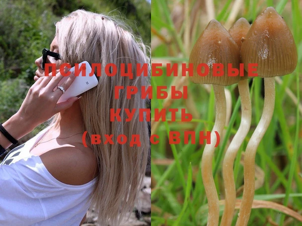 эйфоретик Каменка