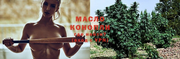 эйфоретик Каменка