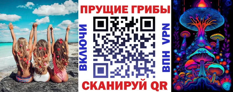 KRAKEN ССЫЛКА  Медвежьегорск  Псилоцибиновые грибы MAGIC MUSHROOMS 